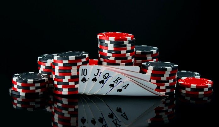 Wildbet365 Live Casino